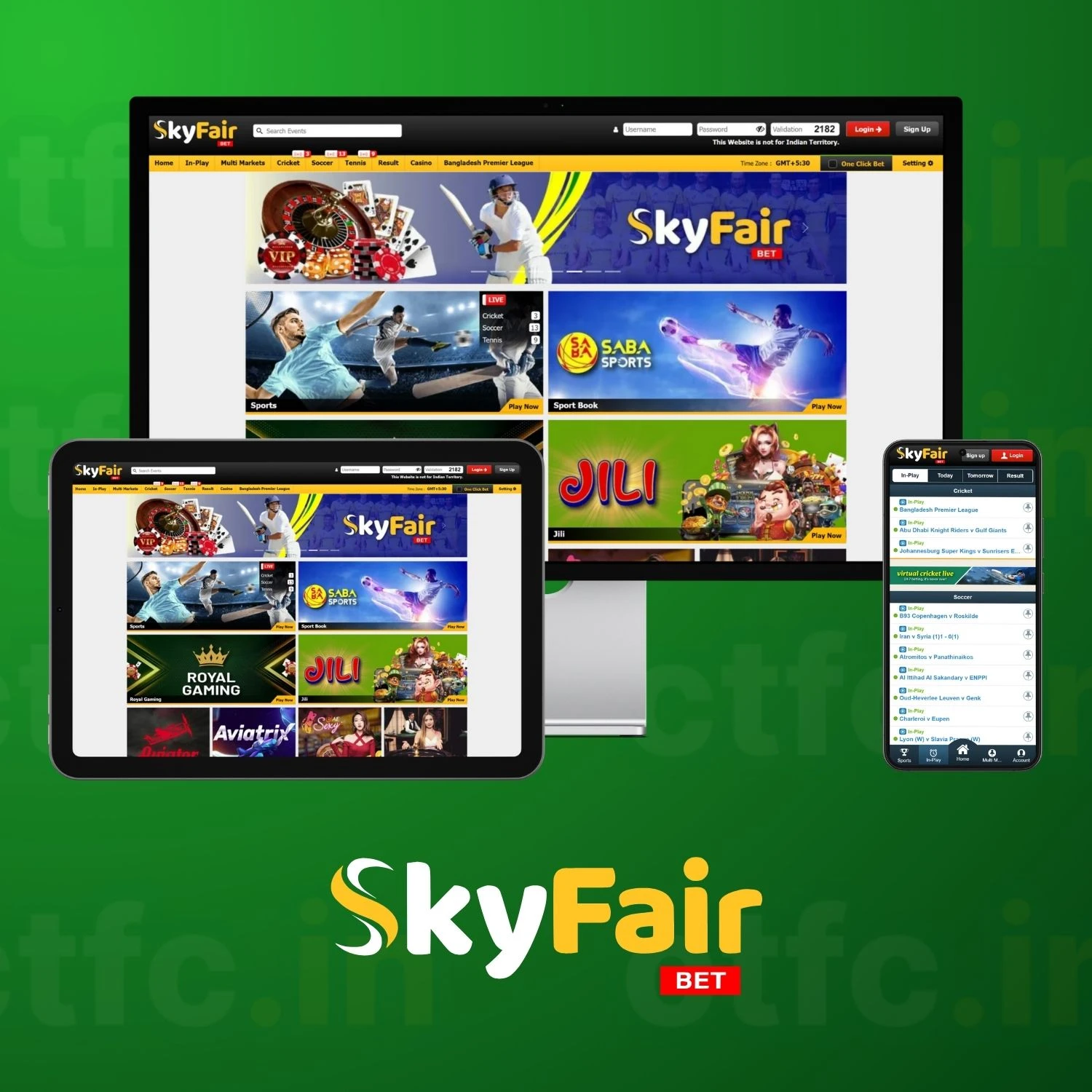 Skyfair image