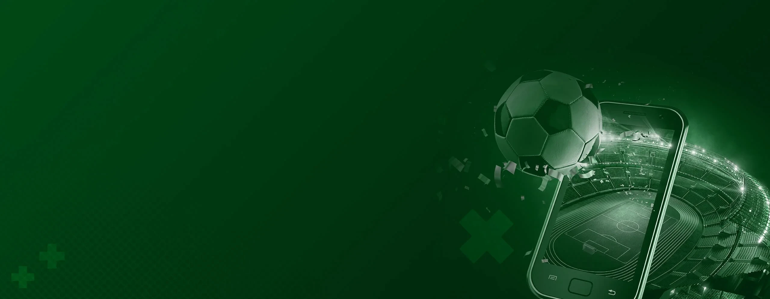 Banner Image