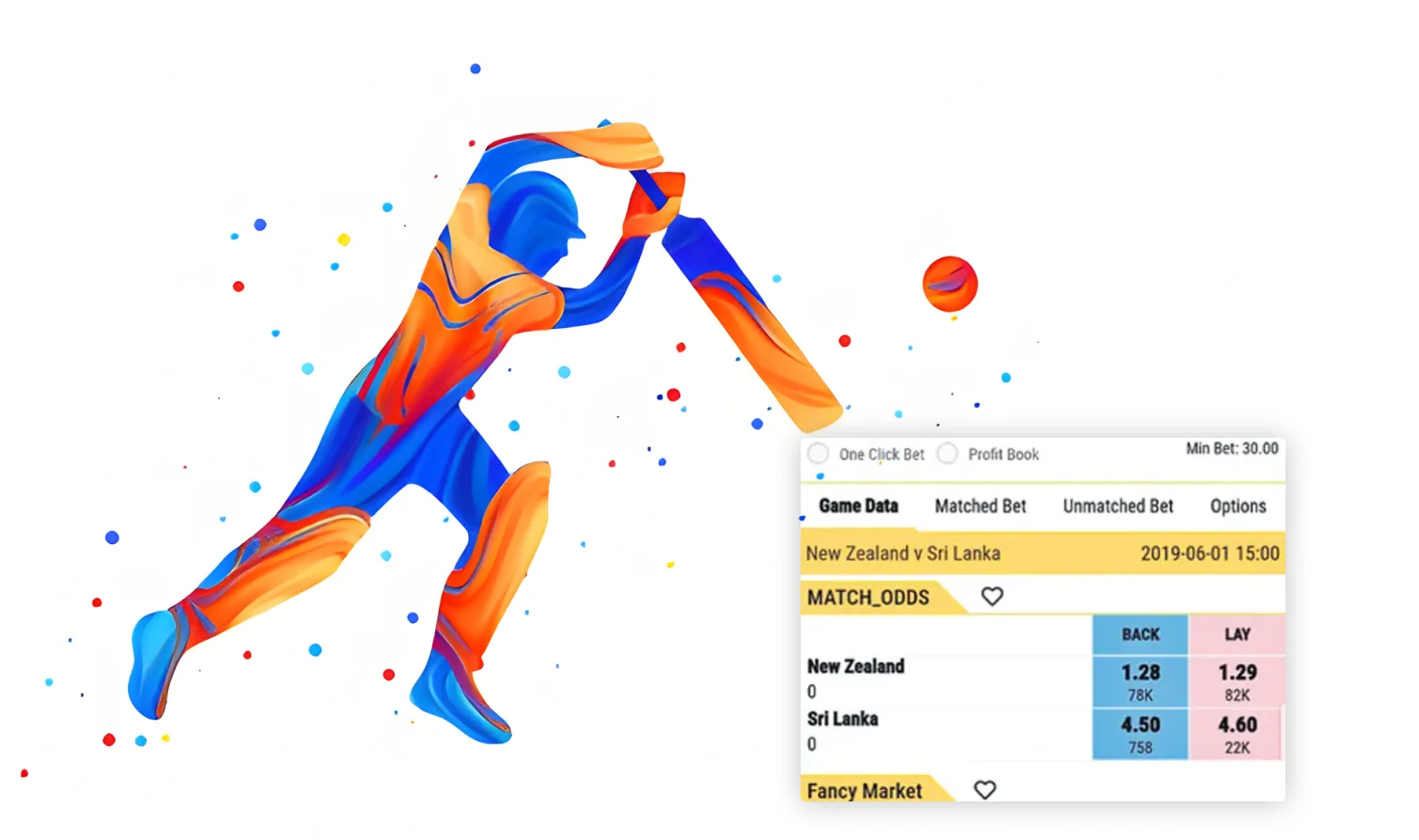 fancy bookmaker data